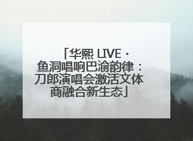 华熙 LIVE・鱼洞唱响巴渝韵律：刀郎演唱会激活文体商融合新生态