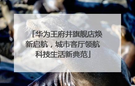 华为王府井旗舰店焕新启航，城市客厅领航科技生活新典范