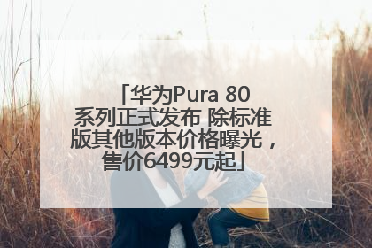 华为Pura 80系列正式发布 除标准版其他版本价格曝光，售价6499元起