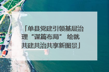 单县党建引领基层治理“谋篇布局” 绘就共建共治共享新图景