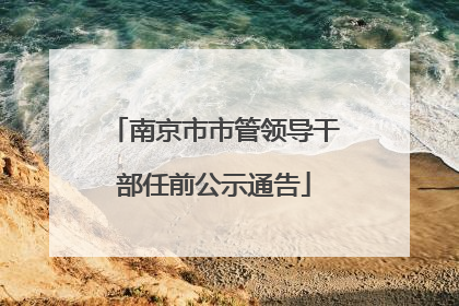 南京市市管领导干部任前公示通告