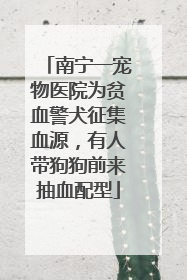 南宁一宠物医院为贫血警犬征集血源，有人带狗狗前来抽血配型
