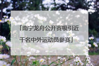 南宁龙舟公开赛吸引近千名中外运动员参赛