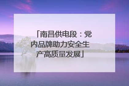 南昌供电段：党内品牌助力安全生产高质量发展