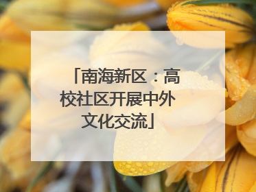 南海新区：高校社区开展中外文化交流