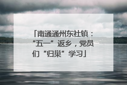 南通通州东社镇：“五一”返乡，党员们“归巢”学习
