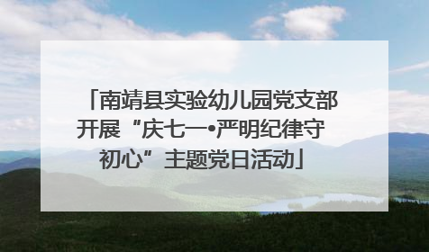 南靖县实验幼儿园党支部开展“庆七一•严明纪律守初心”主题党日活动
