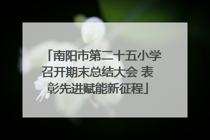 南阳市第二十五小学召开期末总结大会 表彰先进赋能新征程
