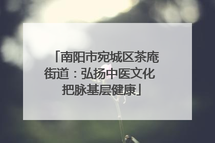 南阳市宛城区茶庵街道：弘扬中医文化 把脉基层健康