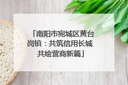 南阳市宛城区黄台岗镇：共筑信用长城 共绘营商新篇