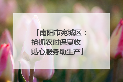 南阳市宛城区：抢抓农时保夏收 贴心服务助生产