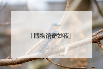 博物馆奇妙夜