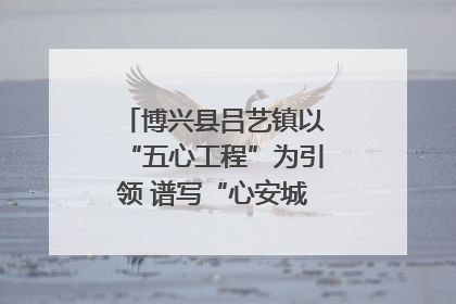 博兴县吕艺镇以“五心工程”为引领 谱写“心安城市”建设新篇章