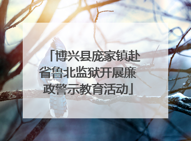 博兴县庞家镇赴省鲁北监狱开展廉政警示教育活动