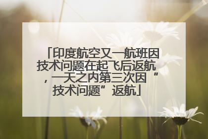 印度航空又一航班因技术问题在起飞后返航，一天之内第三次因“技术问题”返航