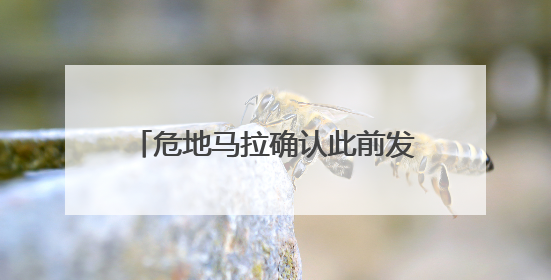 危地马拉确认此前发现玛雅城市遗址年代