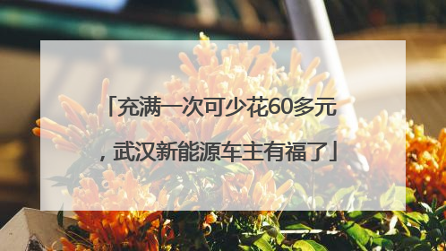 充满一次可少花60多元，武汉新能源车主有福了