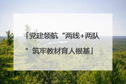 党建领航“两线+两队”筑牢教材育人根基