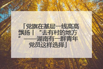 党旗在基层一线高高飘扬丨“去有村的地方”——湖南有一群青年党员这样选择
