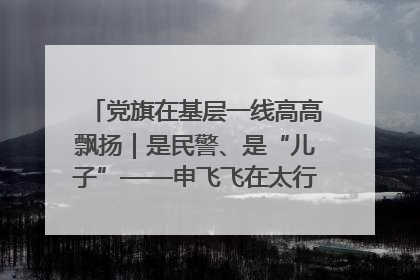 党旗在基层一线高高飘扬｜是民警、是“儿子”——申飞飞在太行山中的一线坚守