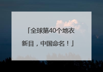 全球第40个地衣新目，中国命名！
