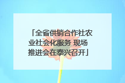 全省供销合作社农业社会化服务 现场推进会在泰兴召开
