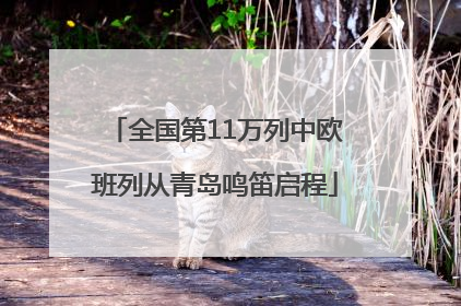 全国第11万列中欧班列从青岛鸣笛启程