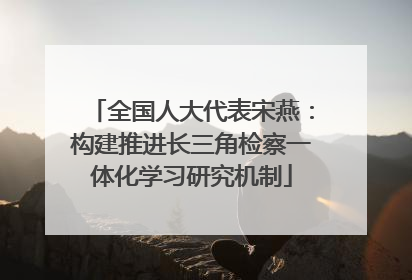 全国人大代表宋燕：构建推进长三角检察一体化学习研究机制