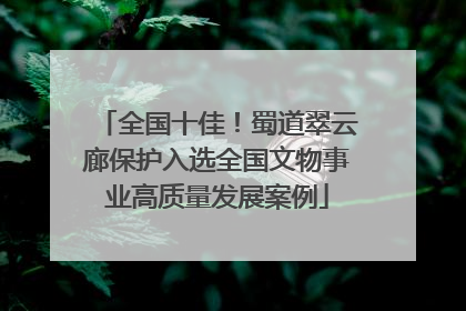 全国十佳！蜀道翠云廊保护入选全国文物事业高质量发展案例