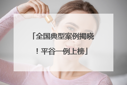 全国典型案例揭晓！平谷一例上榜