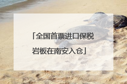 全国首票进口保税岩板在南安入仓