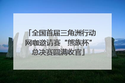 全国首届三角洲行动网咖邀请赛“熊族杯”总决赛圆满收官