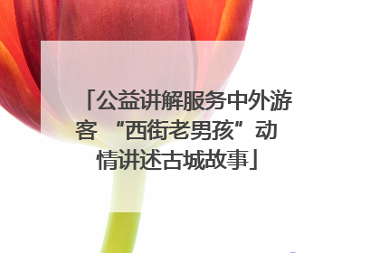 公益讲解服务中外游客 “西街老男孩”动情讲述古城故事