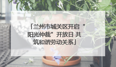 兰州市城关区开启“阳光仲裁”开放日 共筑和谐劳动关系