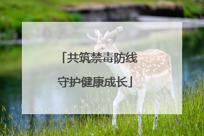 共筑禁毒防线 守护健康成长