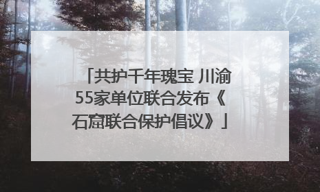 共护千年瑰宝 川渝55家单位联合发布《石窟联合保护倡议》