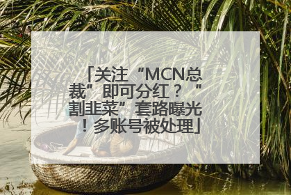 关注“MCN总裁”即可分红？“割韭菜”套路曝光！多账号被处理
