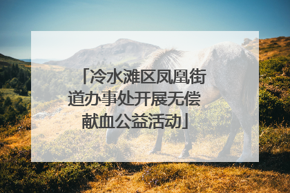 冷水滩区凤凰街道办事处开展无偿献血公益活动