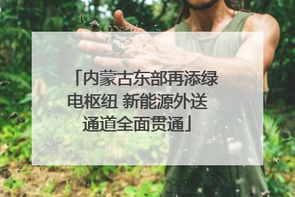 内蒙古东部再添绿电枢纽 新能源外送通道全面贯通
