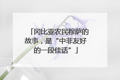 冈比亚农民穆萨的故事，是“中非友好的一段佳话”