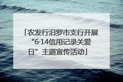农发行汨罗市支行开展“6·14信用记录关爱日”主题宣传活动