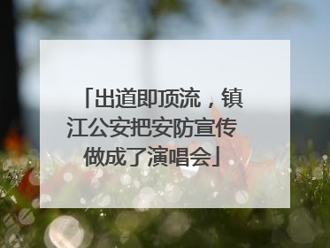 出道即顶流，镇江公安把安防宣传做成了演唱会