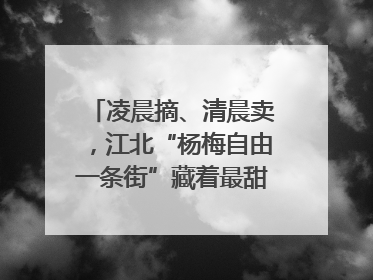 凌晨摘、清晨卖，江北“杨梅自由一条街”藏着最甜的烟火气