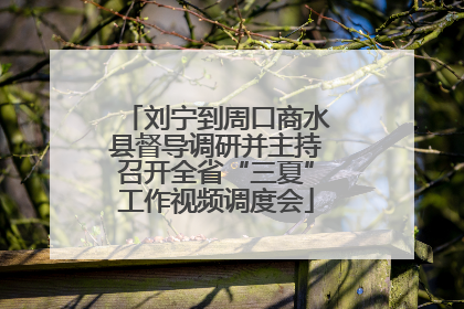 刘宁到周口商水县督导调研并主持召开全省“三夏”工作视频调度会