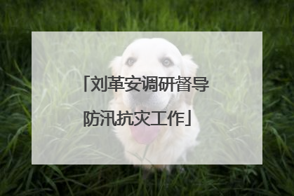 刘革安调研督导防汛抗灾工作