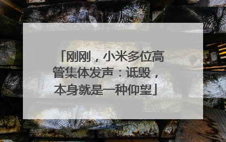 刚刚，小米多位高管集体发声：诋毁，本身就是一种仰望
