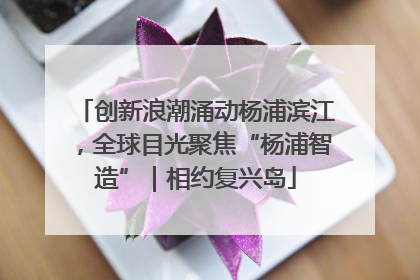 创新浪潮涌动杨浦滨江，全球目光聚焦“杨浦智造”｜相约复兴岛
