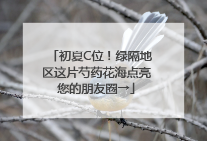初夏C位！绿隔地区这片芍药花海点亮您的朋友圈→