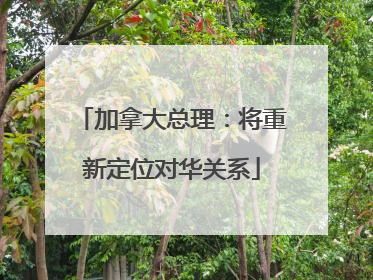 加拿大总理：将重新定位对华关系