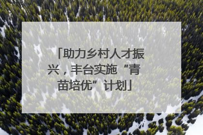 助力乡村人才振兴，丰台实施“青苗培优”计划
